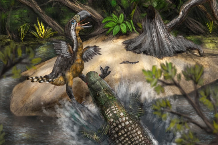 Giant 'Terror Bird' May Have Fallen Prey to Massive Caiman 13 Million Years Ago